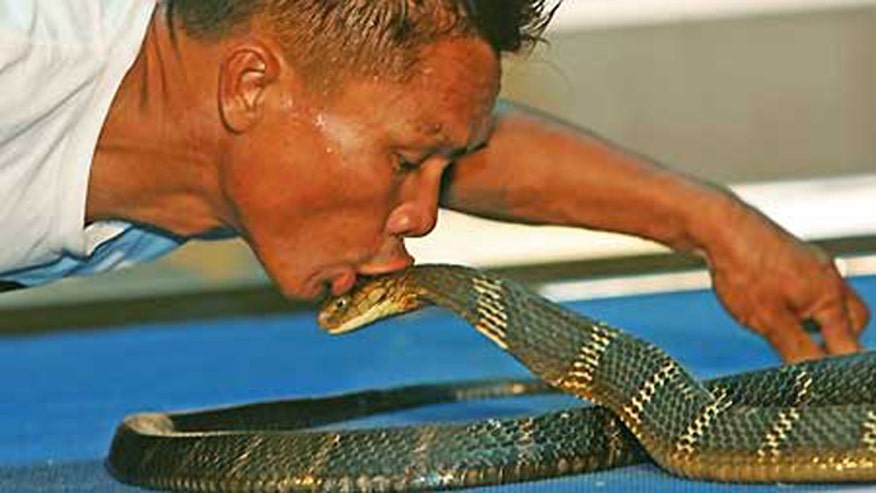 Snake Charmer.jpg